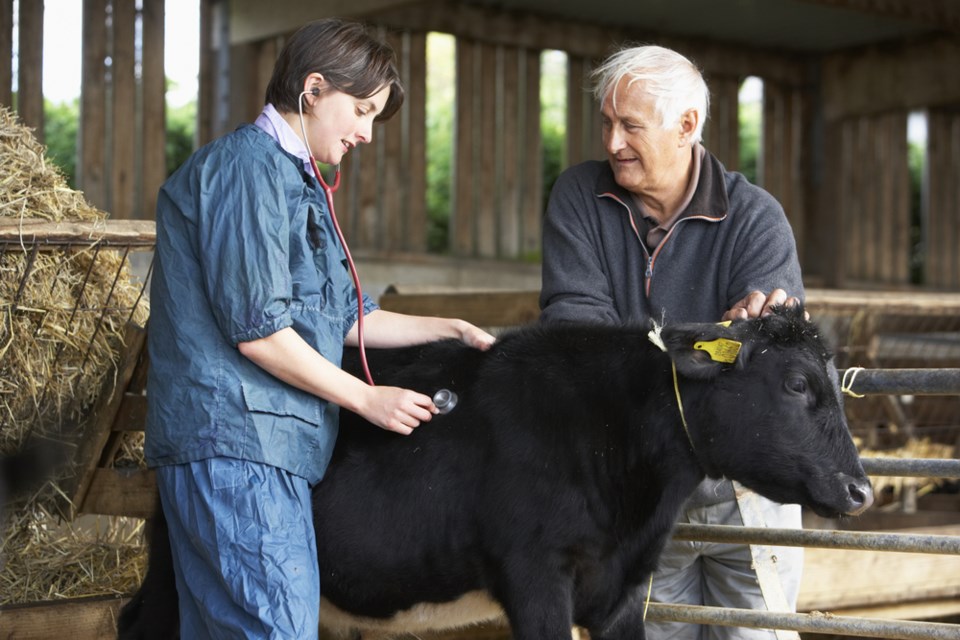 Stock Growers ask province to continue vet college numbers