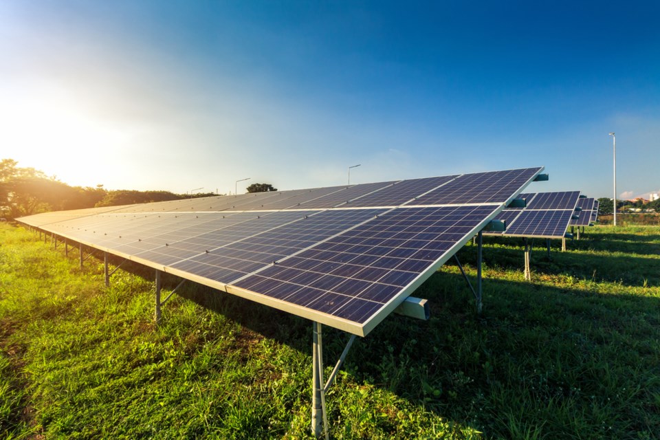 solar panels farming shutterstock