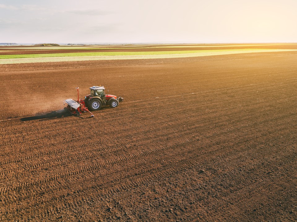 spring seeding shutterstock