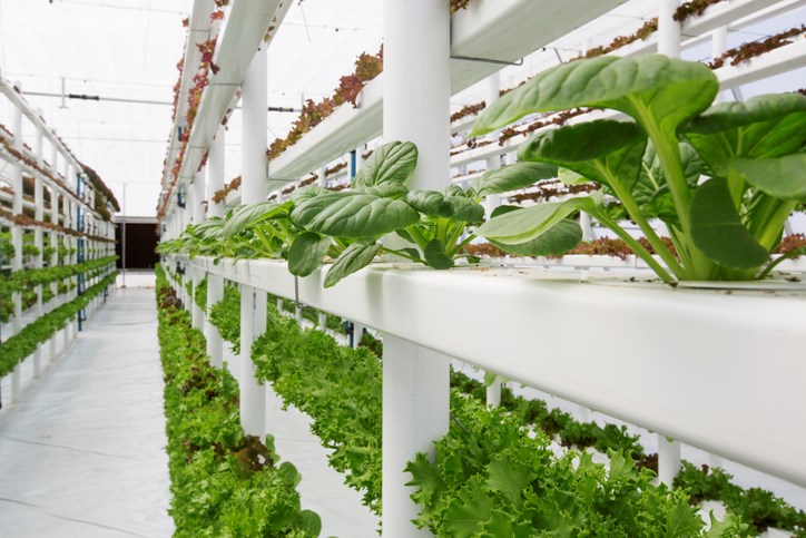 vertical farming getty images