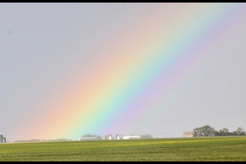 Rainbow. Photo by Ron Walter