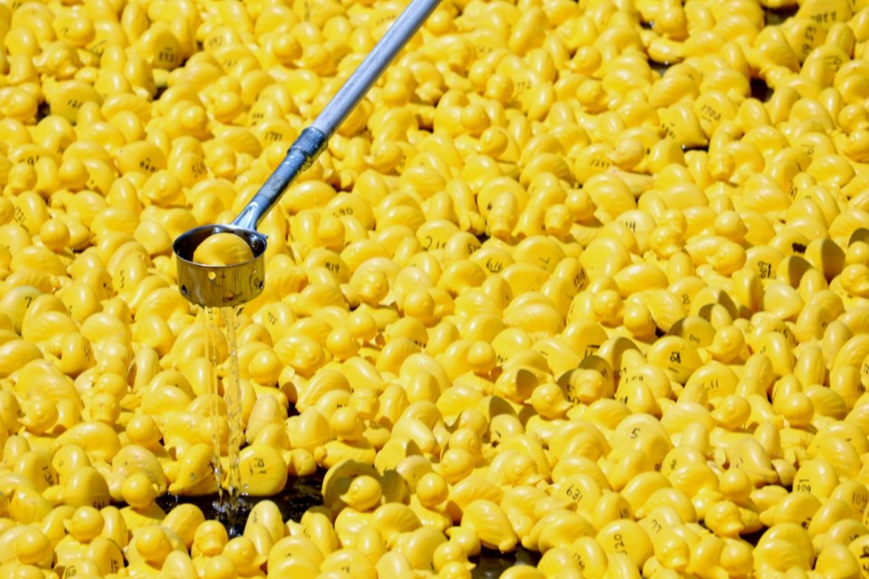 duck derby 2016 file photo