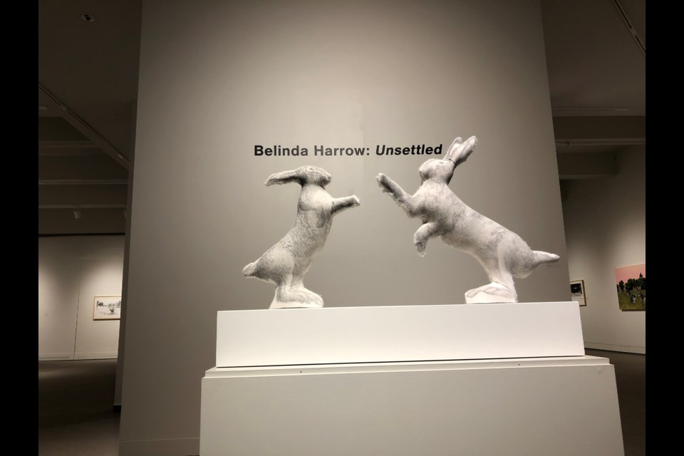 Belinda Harrow Exhibition "Unsettled"