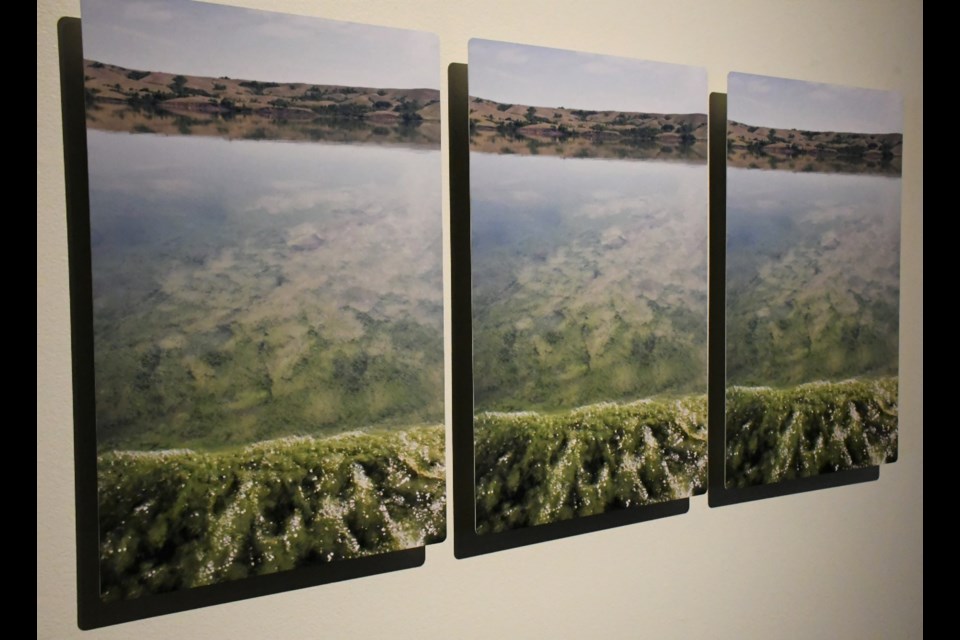 Artwork entitled "Bloom (Buffalo Pound Lake)," by Susan Shantz. Photo by Jason G. Antonio 