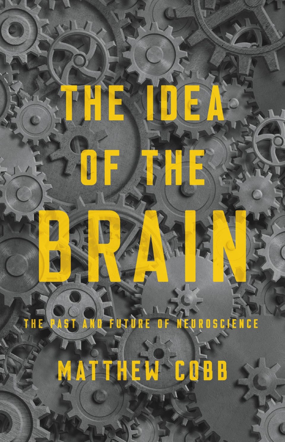 the-idea-of-the-brain