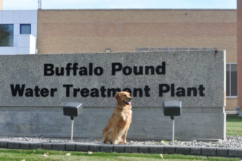 Buffalo Pound Water Treatment Plant. Photo courtesy Facebook