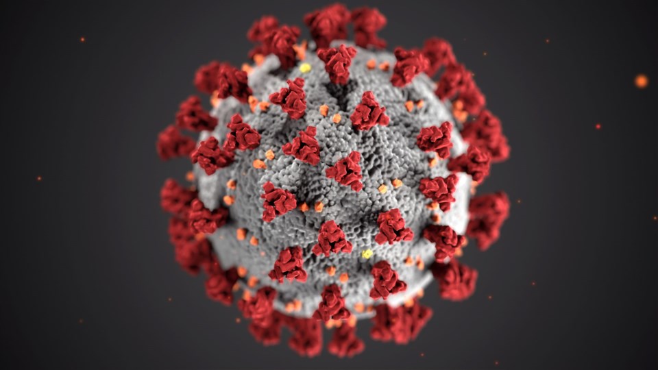 cdc covid virus