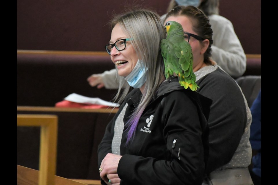Melissa Livingston, shelter manager with the Moose Jaw Humane Society, speaks to council during a budget meeting while Peeko the orange-wing Amazon parrot perches on her shoulder. Photo by Jason G. Antonio 