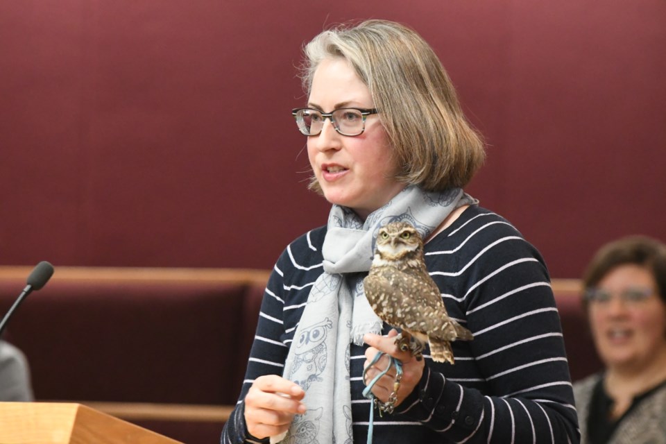Lori Johnson, owl co-ordinator with the Saskatchewan Interpretive Burrowing Owl Centre, with Peanut, speaks to council. Photo by Jason G. Antonio