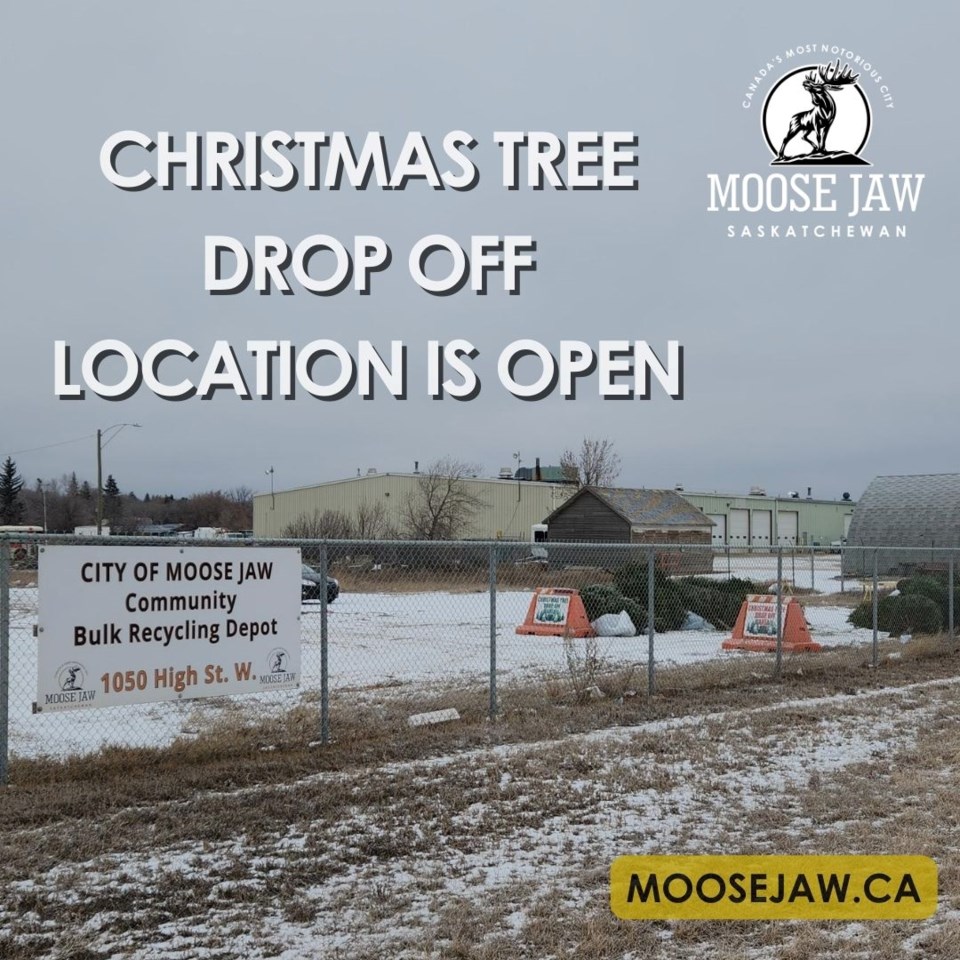 city-moose-jaw-tree-site