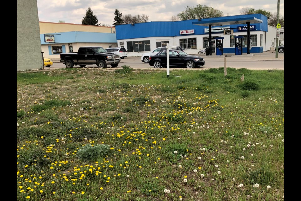 This lot on the corner of Athabasca Street East and Fourth Avenue could become a parking lot, after council gave discretionary approval to the project. Photo by Jason G. Antonio 