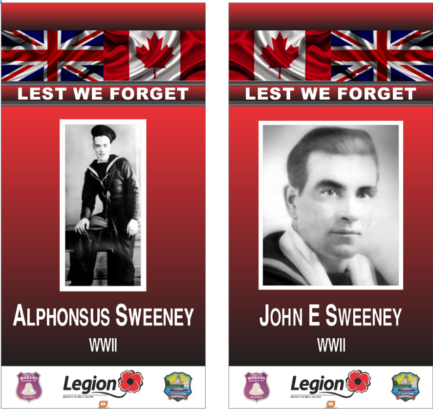 vets-banner-program-example