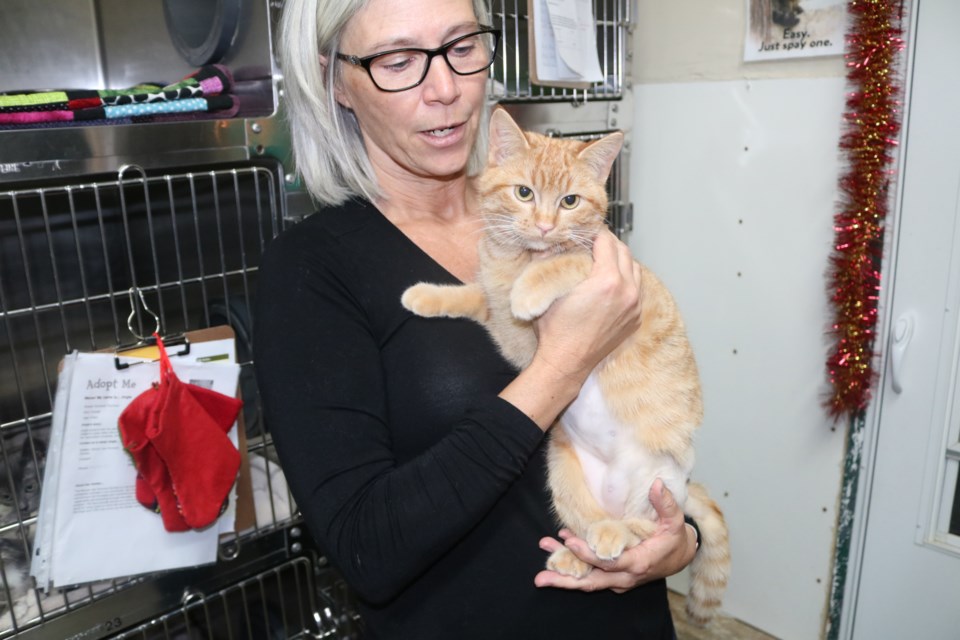 Moose Jaw Humane Society executive director Dana Haukaas holds Belle at the humane society’s shelter on Friday. Belle was brought to the shelter was a badly broken hip, but received surgery because of the Emergency Medical Fund. Photo by Shawn Slaght