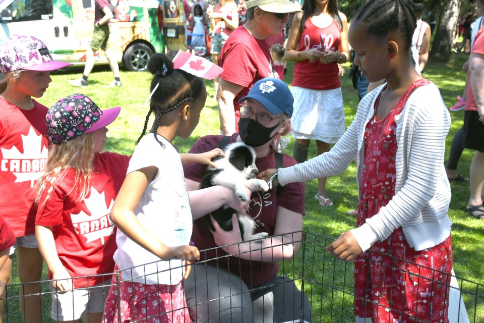 The Flirting with Fido area was one of the most popular throughout the day, as patrons checked out the puppies available for adoption.