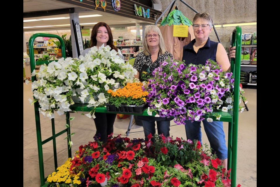 Keon Garden Centre employees Amanda Dowling (left) and Kandy (centre) donate perennials to Connie Paul (right) for the Serenity Garden project.