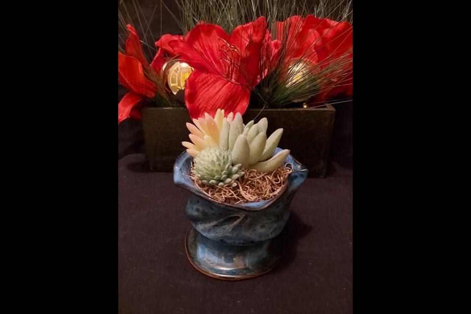 The Pottery Club's online succulent fundraiser starts at 7:00 p.m. on April 29 and goes until 3:00 p.m. on April 30