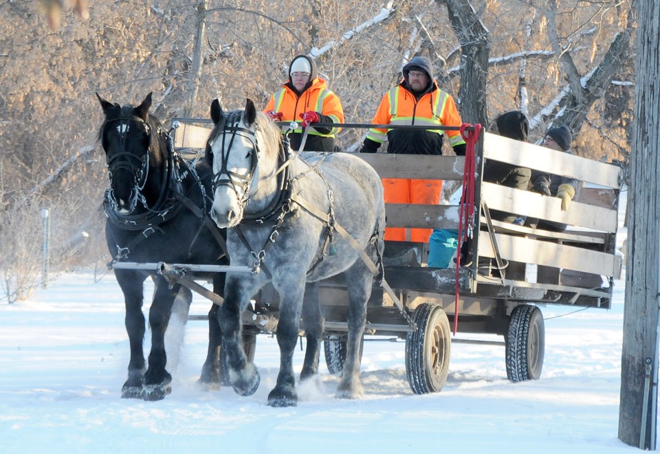 New Years Eve sleigh rides