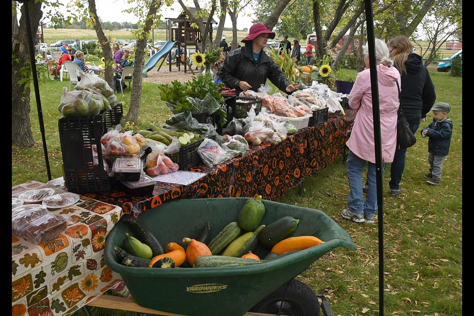 Some of the sights and scenes from the Hunger in Moose Jaw Pumpkin Harvest Festival on Saturday afternoon.