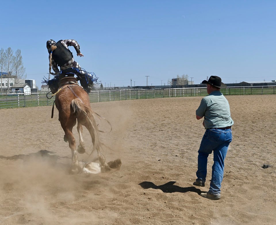 bucked-off