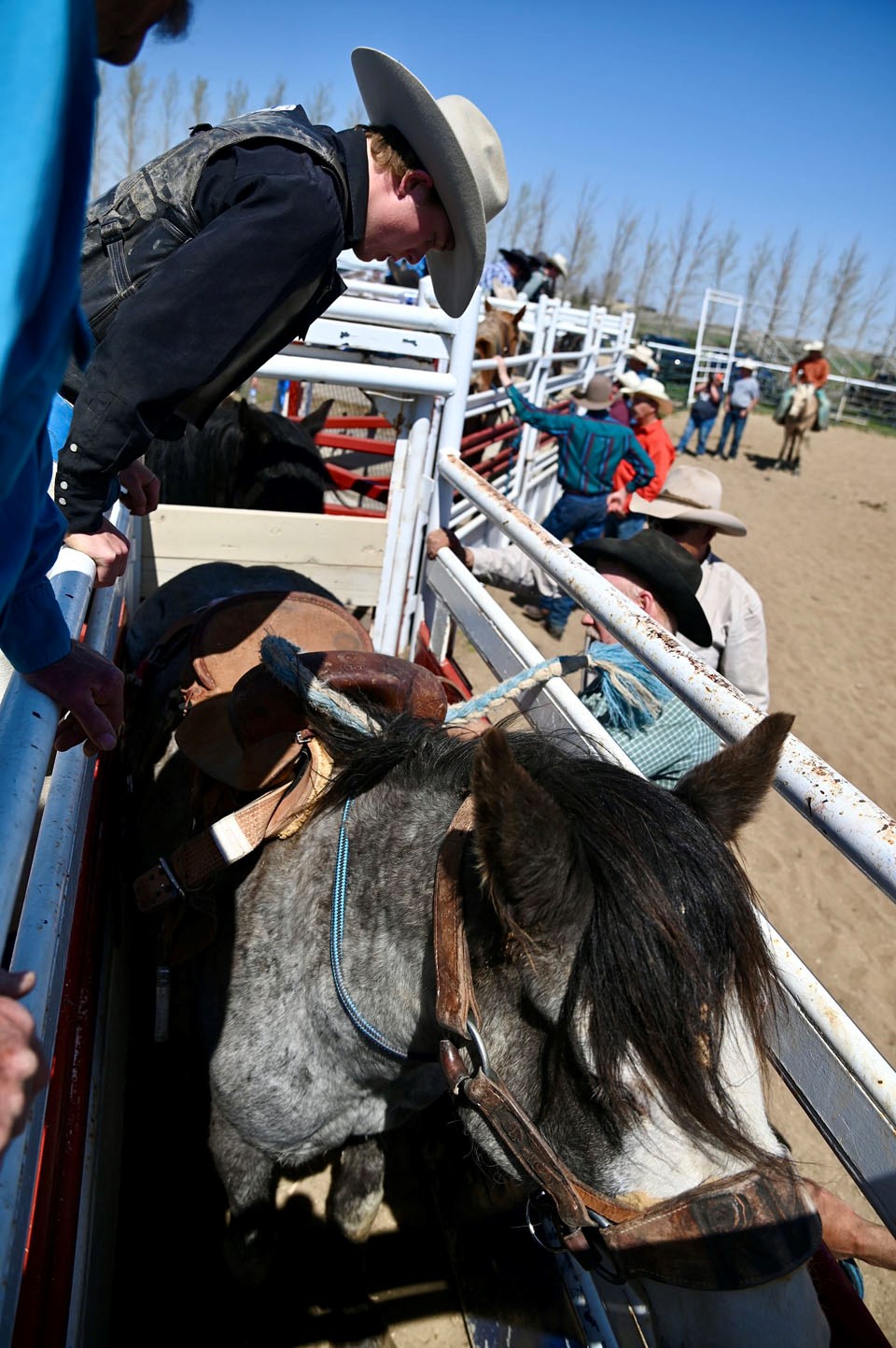 get-on-horse