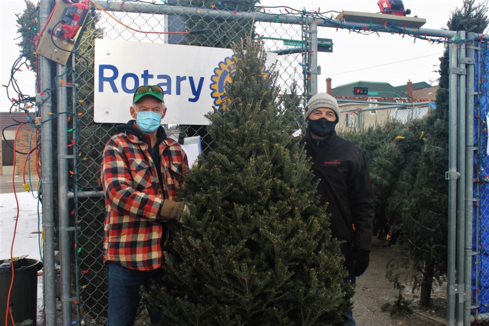 rotary christmas tree stand