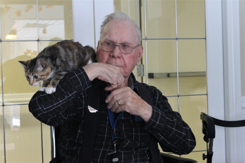 Cyril made fast friends with this adventurous kitten, named Devina. 