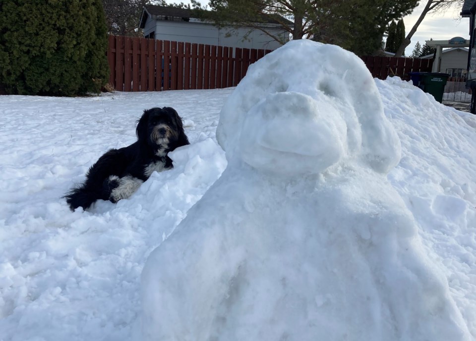 snow-dog-sculpture-crop