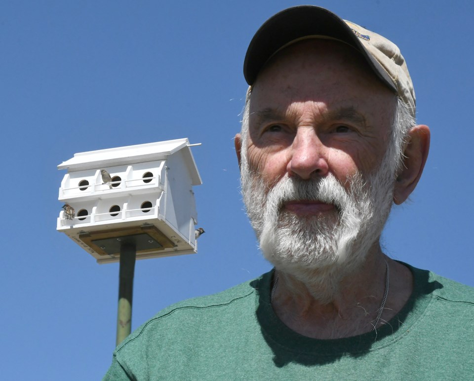 Spring Creek birdhouse