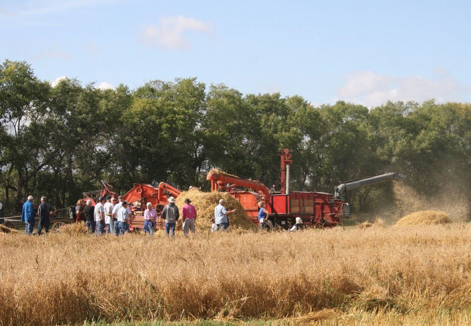 sukanen-harvest