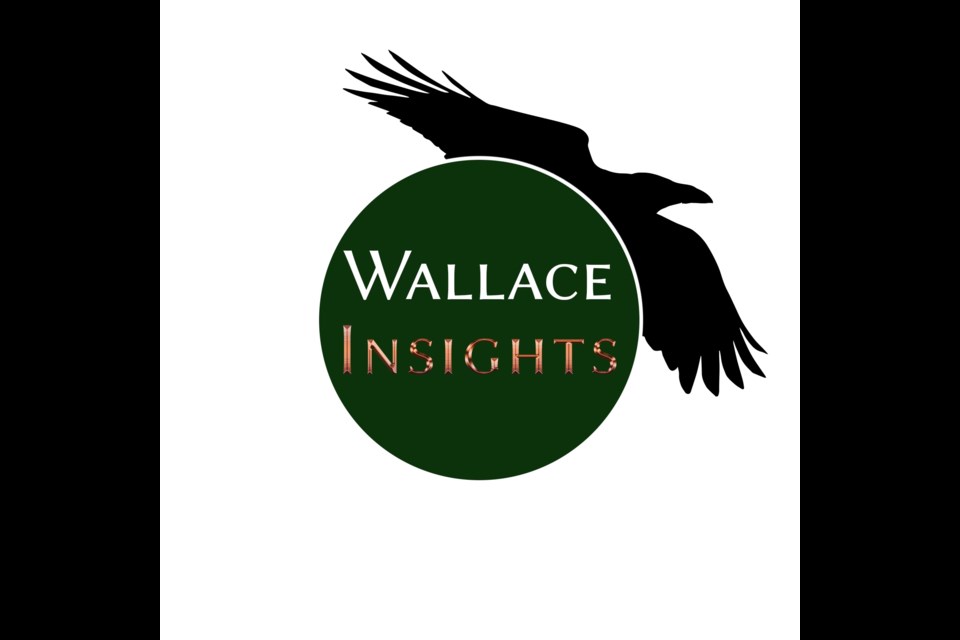 Wallace Insights has been hired to submit a revised community plan for the City of Moose Jaw. 