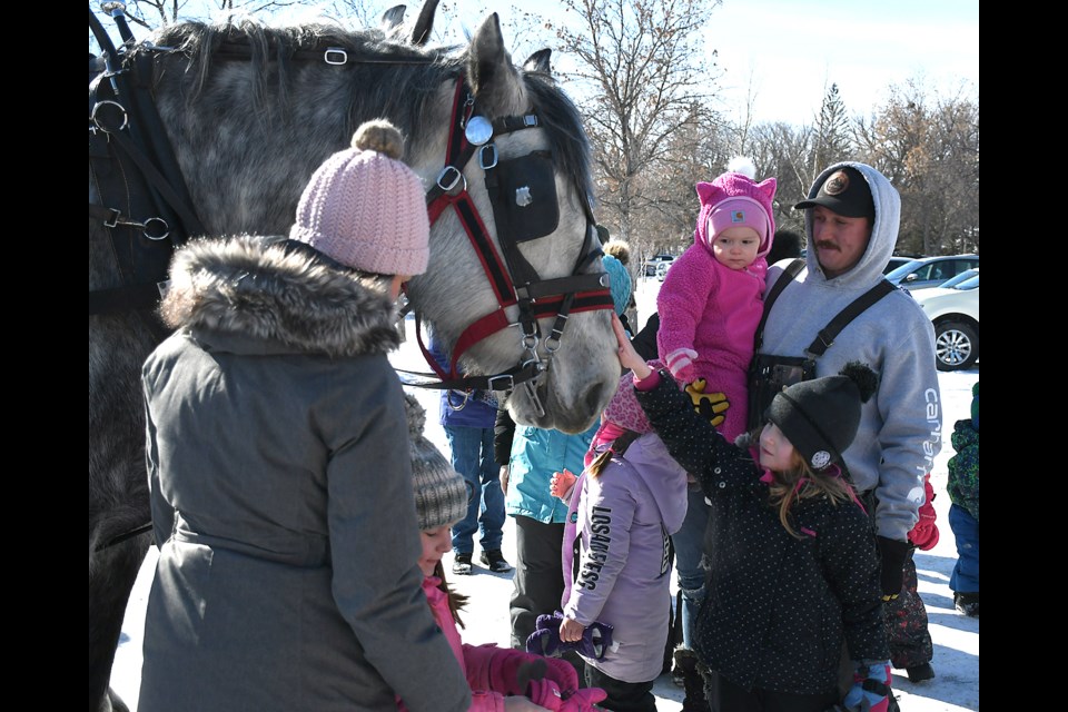 Visitors young and old couldn’t resist paying a visit and offering a pet to the Prairie Percherons during Winter Fest 2023