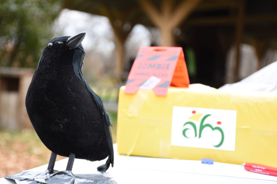 A crow watches over the zombie crime scene that sprung up at Connor Park on Oct. 19. Photo by Jason G. Antonio