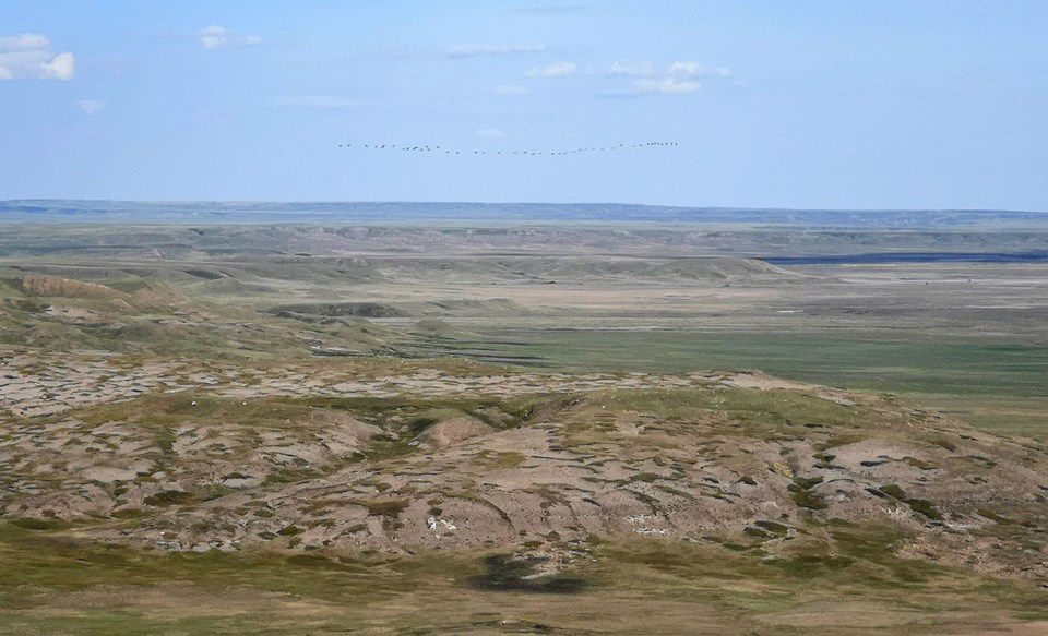 Prairie scene