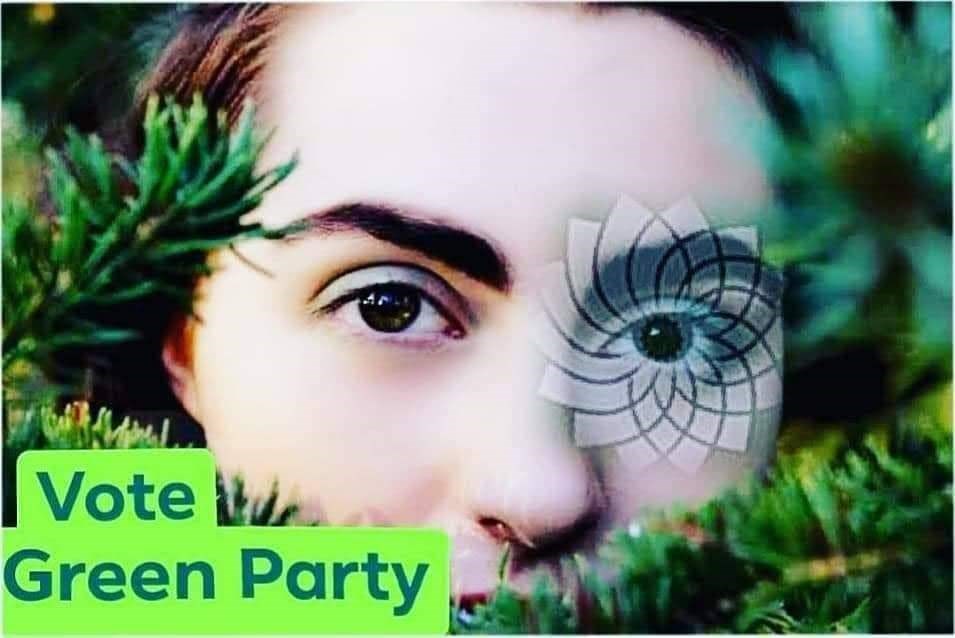 north hunter green party