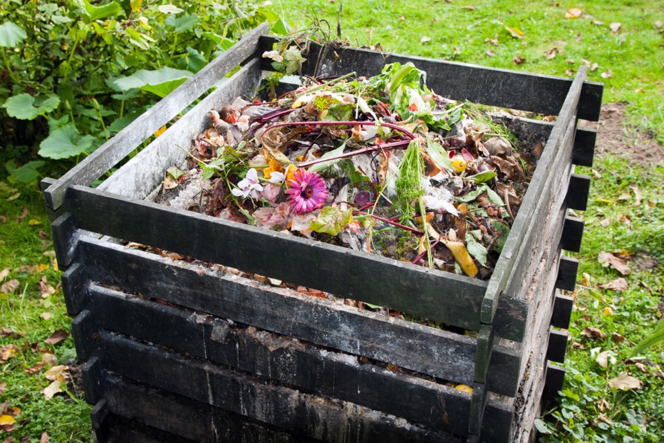 compost bin shutterstock