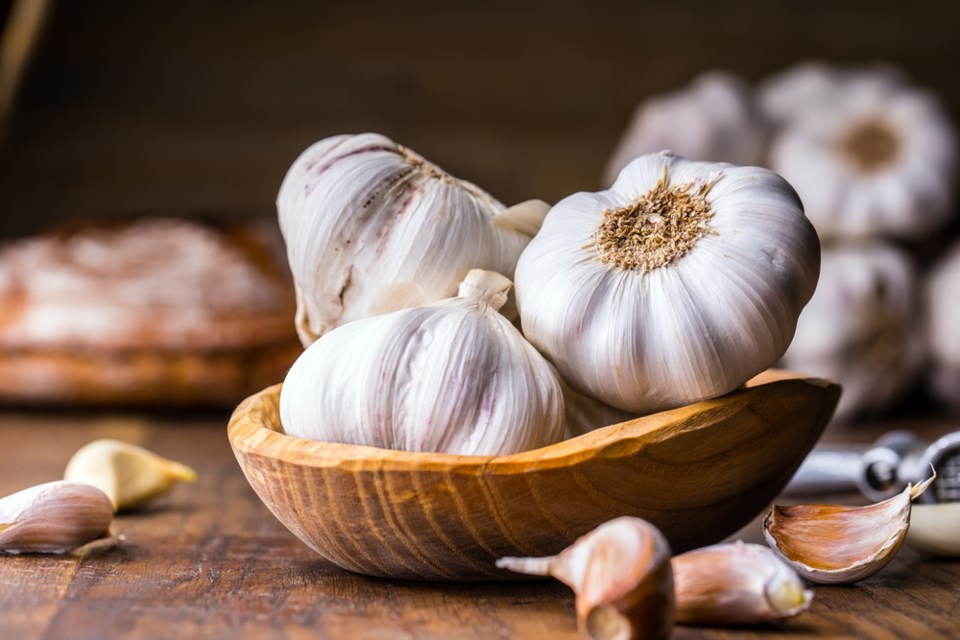 garlic stock photo