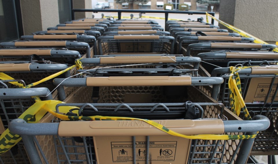 shopping carts2