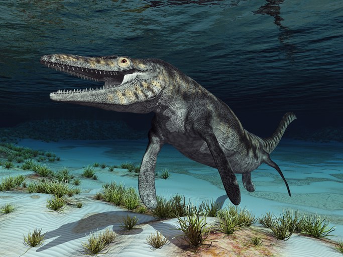 A digital recreation of a Tylosaur, another large mosasaur species similar to Prognathodon 