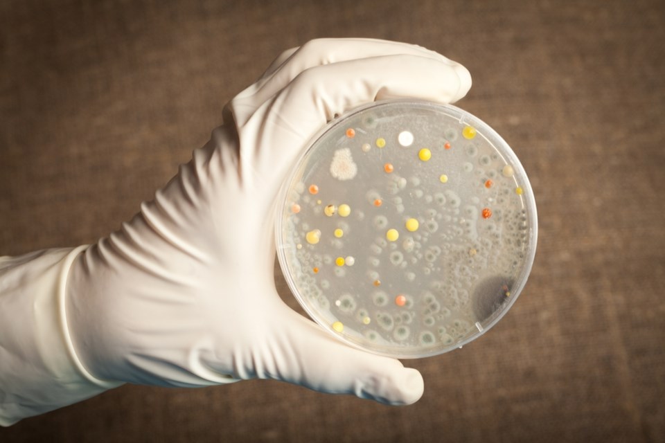 anthrax lab shutterstock