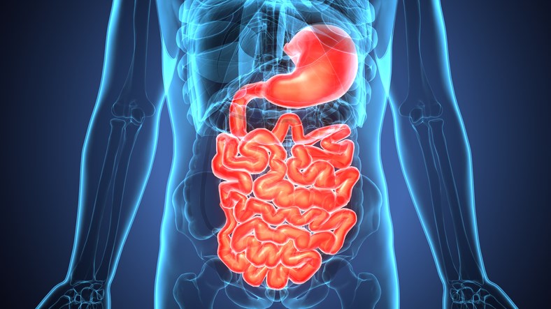 digestive health getty images