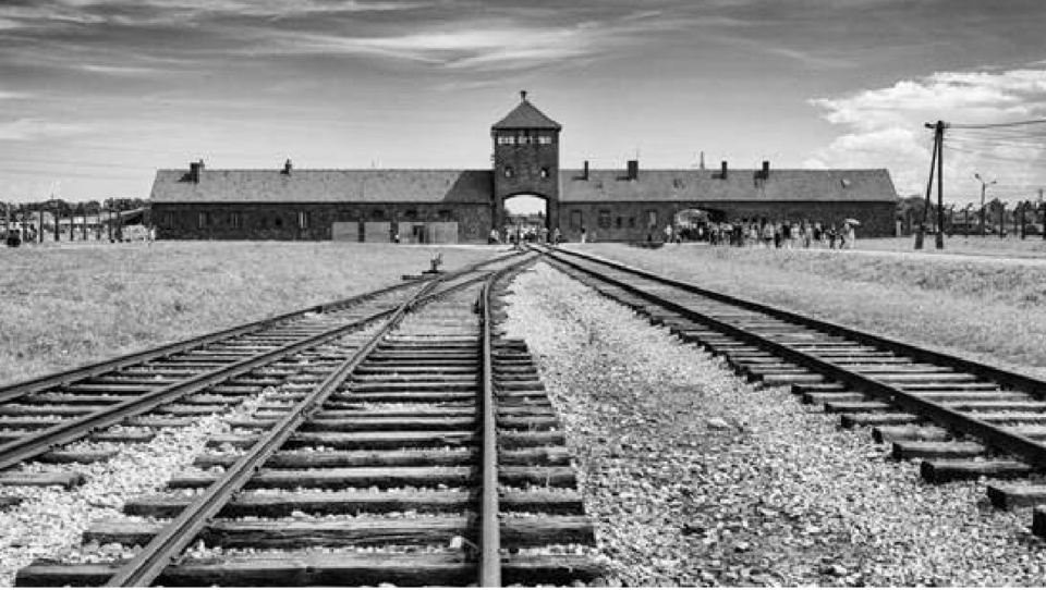 auschwitz(1)