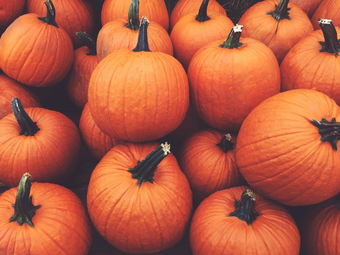 halloween pumpkins getty images