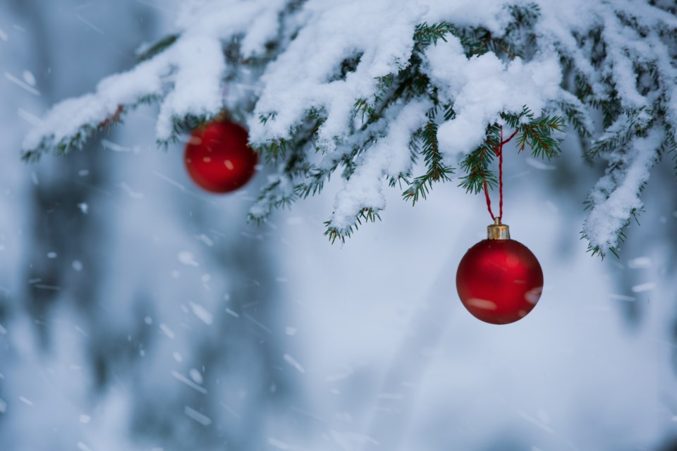 spruce-xmas-tree