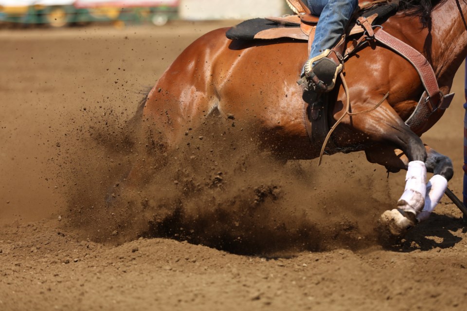 barrel racing stock