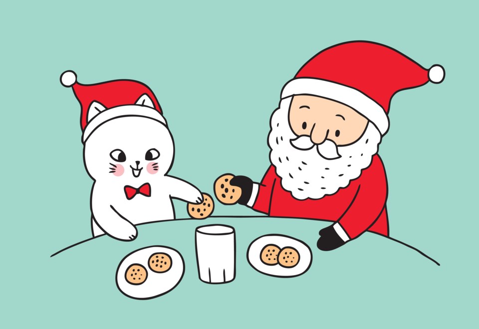 christmas cookies with cat