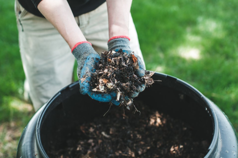 compost-bin-stock