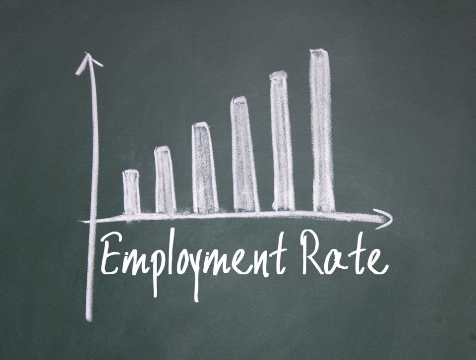 employment rate graph