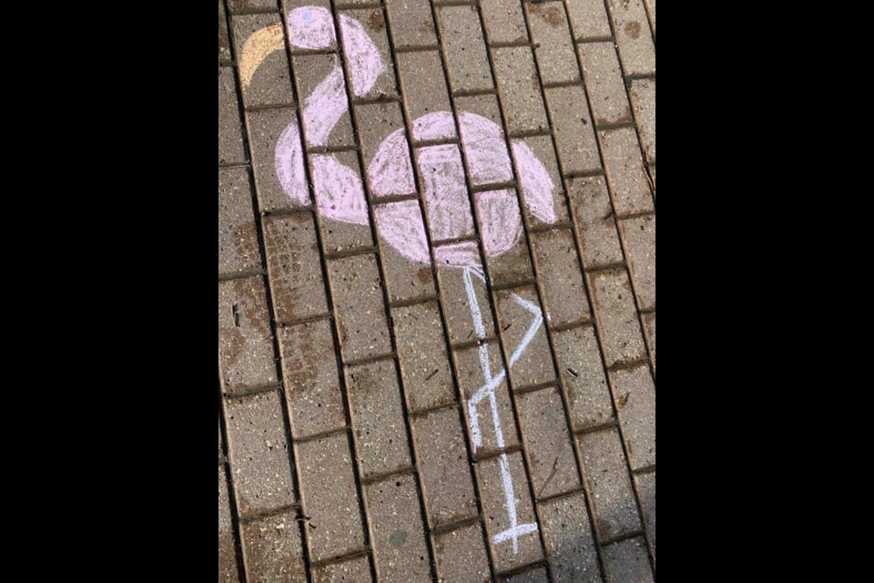 A chalk flamingo is one of eight animals that the Moose Jaw Public Library is encouraging kids to find as part of a scavenger hunt. Photo courtesy MJPL 