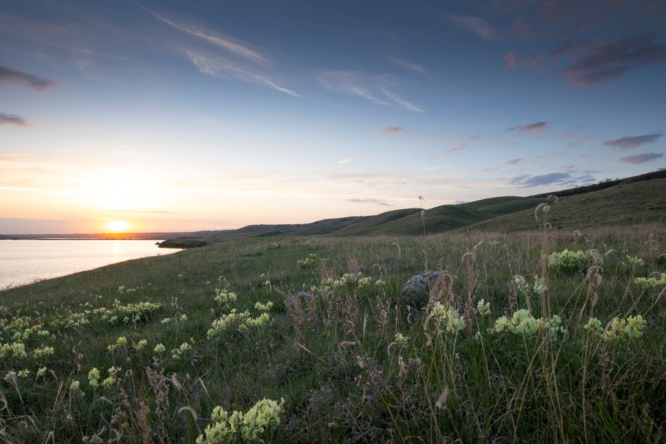 buffalo pound conservation