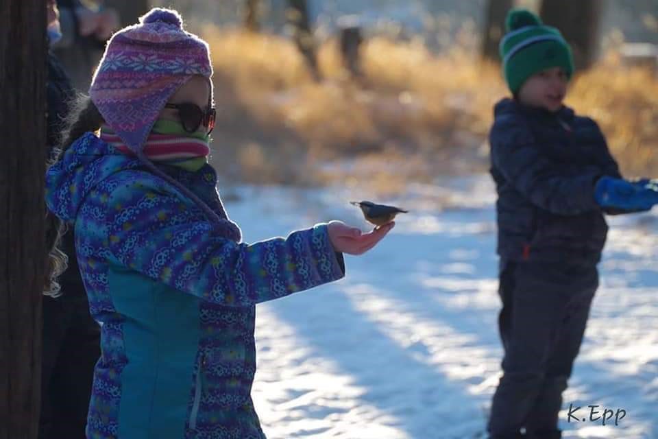 Xyra Seargeant with a nuthatch in hand down in Wakamow Valley. (supplied)